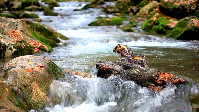 Незабываемый отдых в Крыму смотреть онлайн