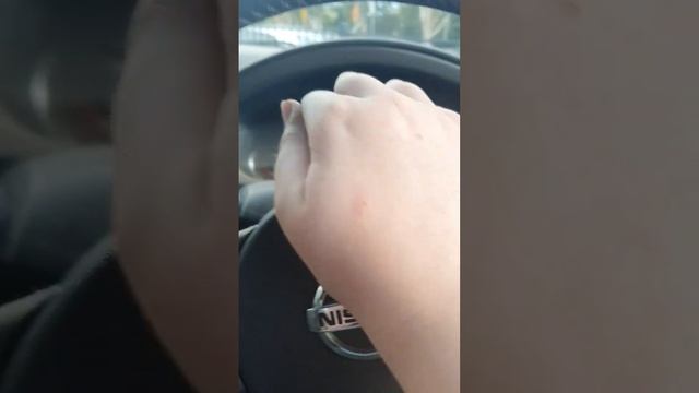 R51 Pathfinder Horn Not Working