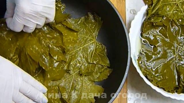 Долма: Рецепт ДОЛМЫ ИЗ ВИНОГРАДНЫХ ЛИСТЬЕВ +соус для толмы/Как приготовить долму смотреть онлайн