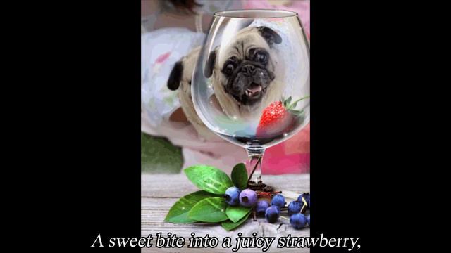 Poppy The Pug Dog & The Garden Tea Party