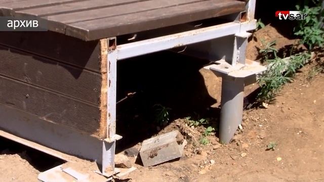 В саратовском парке 