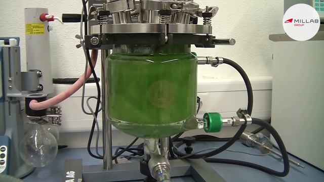 Лабораторные реакторы Reactron с интегрированным погружным гомогенизатором смотреть онлайн