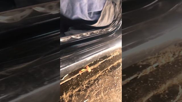 Ремонт Рено Логан