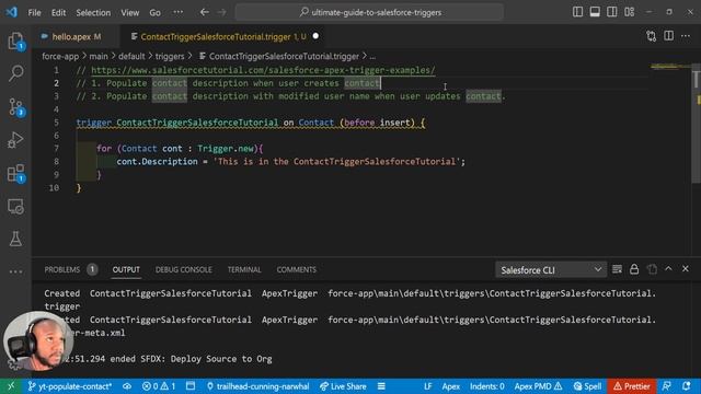 Automatically Update Contact Description | Beginner Salesforce Trigger Example смотреть онлайн