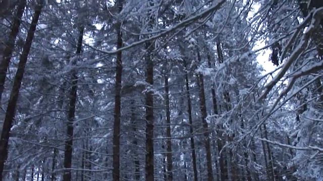 УЛ.КРАСНОПОЛЯНСКАЯ И ЛЕС.ЯНВАРЬ 2014 года. смотреть онлайн