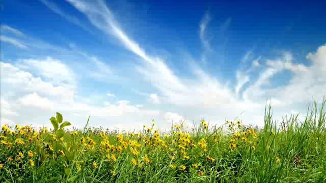 Seconda Fase 432 Hz e 528 Hz by G S смотреть онлайн