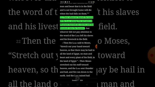 Bible in One Year: DAY 42 смотреть онлайн