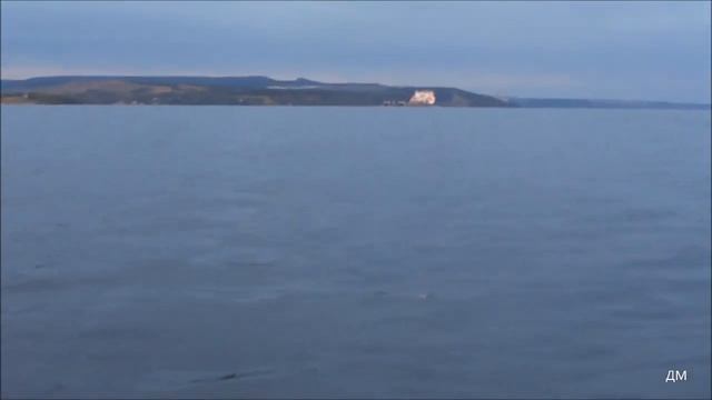 Специализированные суда Топаз Кама и Топаз Руза на Белом Яре 12 08 2020г смотреть онлайн