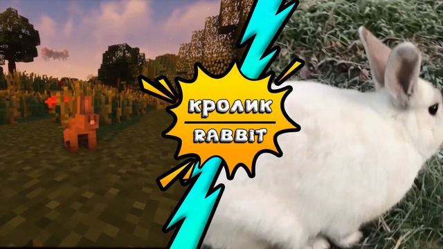 MINECRAFT IN REAL LIFE! МАЙНКРАФТ В РЕАЛЬНОЙ ЖИЗНИ! ЖИВОТНЫЕ! ANIMAL! MINESQUAD! смотреть онлайн
