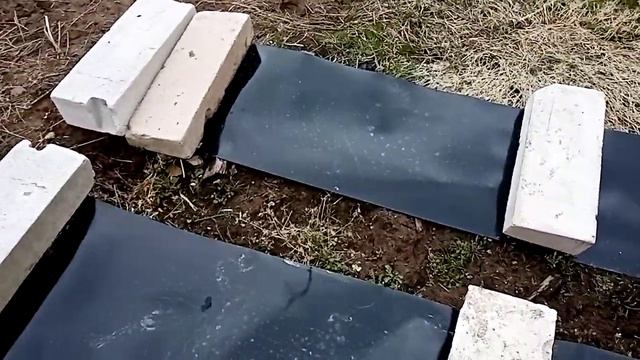 Мой секрет малины гусар. смотреть онлайн