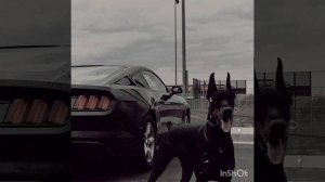 Джиос - она хочет 💔🥰