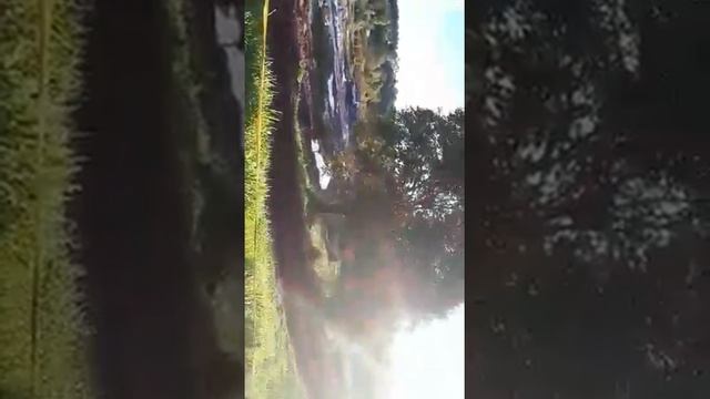 Kia sportage off road смотреть онлайн