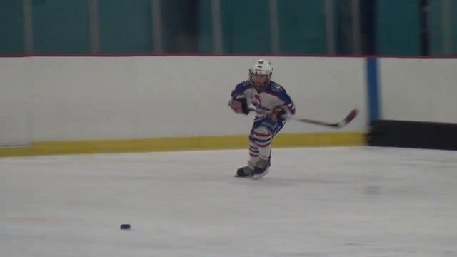 Хоккей- игра для шустрых