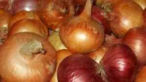 Репчатый лук: польза и вред для здоровья  даже 1 кусок улучшает....