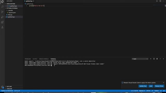 How to run Python in Visual Studio Code using command prompt with terminal смотреть онлайн
