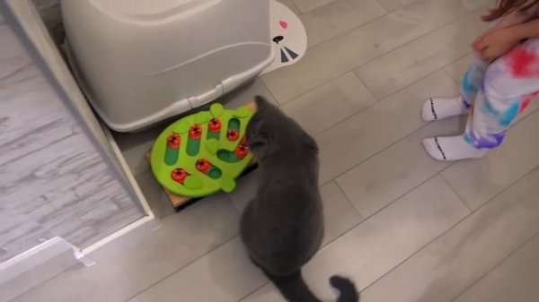 24 Часа из жизни моего КОТЁНКА Тима ВЛОГ My little Nastya