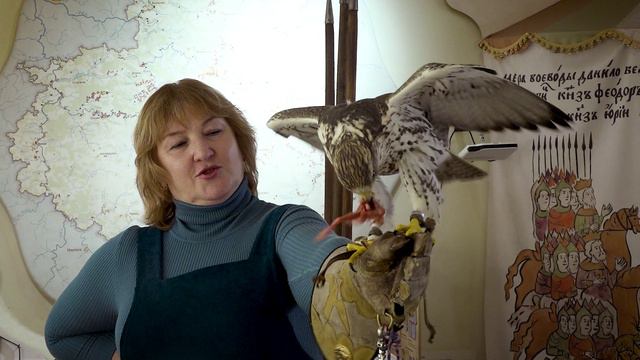 Особенности соколиной охоты на Руси смотреть онлайн