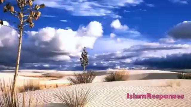 TIDF/Prophet Muhammad and poison смотреть онлайн