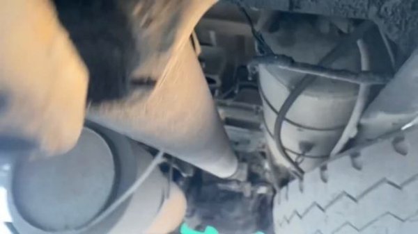 Купил ещё одного маза, маз 555102. Не большой обзор