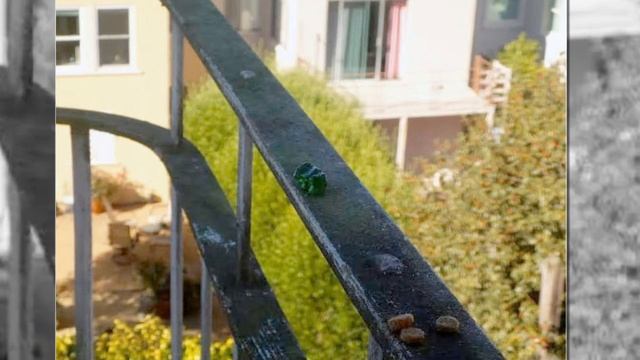 Женщина подкармливала ворон на балконе, и те решили ее отблагодарить!