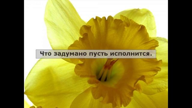 Отличные стихи на день рождения смотреть онлайн