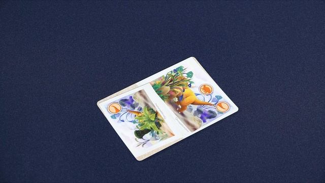 Динотур - Обзор настольной игры (от 8 лет) на OMGames Kids