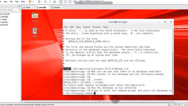 Basics- Startup and Shutdown of oracle database in VMWARE WORKSTATION смотреть онлайн