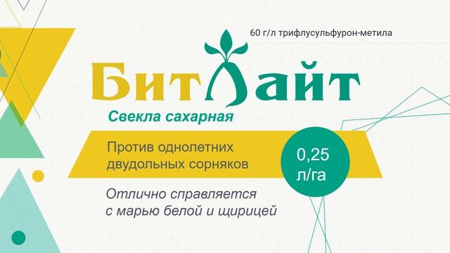 Гербицид БитЛайт для защиты сахарной свеклы от проблемных сорняков смотреть онлайн