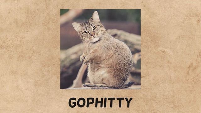HYBRID CATS - Animals That Don't Exist смотреть онлайн