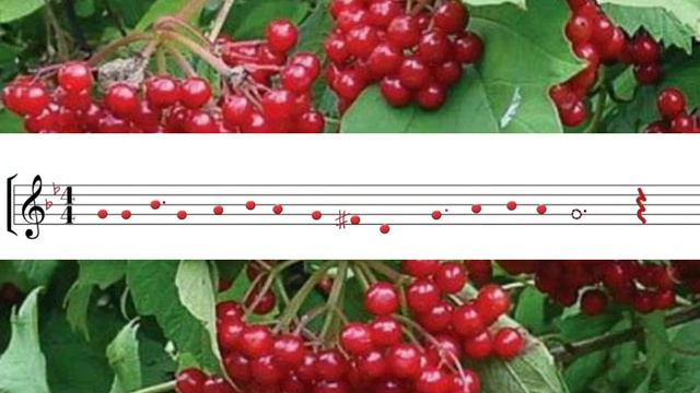 Ритмічний диктант для 4 класу🎶 смотреть онлайн