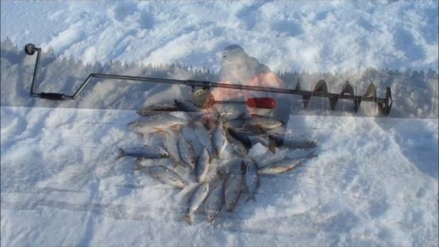 Зимняя рыбалка друзей/Мой Мир@Mail.Ru. смотреть онлайн