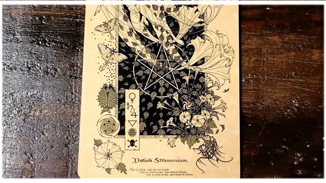 Powerful! The MAGICKAL BOTANICAL ORACLE: Card Reading ??????? смотреть онлайн