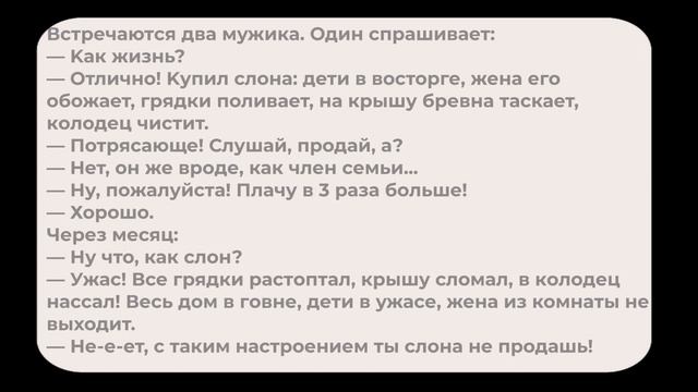 Анекдоты про. Сборник № 104 (с озвучкой) смотреть онлайн