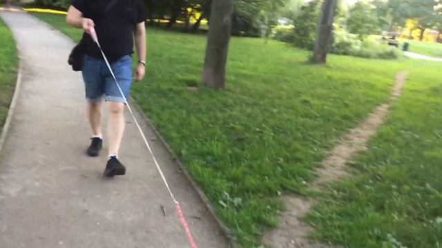 Наш весёлый Йорк на прогулке смотреть онлайн
