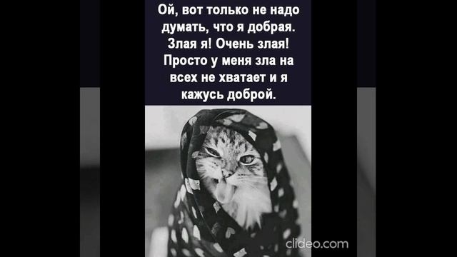 после обеда 30.08 3 смотреть онлайн
