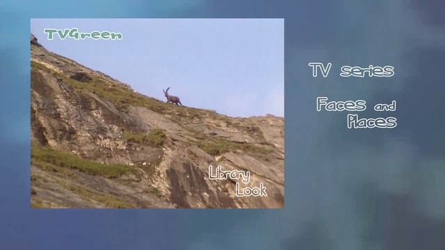 Wild Peers: Ibex Adventures смотреть онлайн