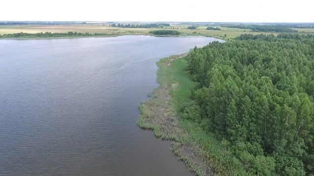 Рыбалка в Мотово смотреть онлайн