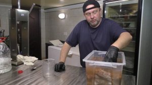 СВИНЫЕ КОПЧЁНЫЕ РЁБРЫШКИ. РЁБРА ГОРЯЧЕГО КОПЧЕНИЯ