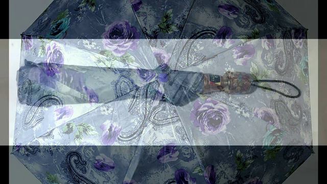 21X8 TWO FOLD MANUAL PRINT SILVER UMBRELLA. смотреть онлайн