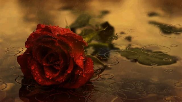 Stephanie la princesse du Monaco-Fleur du mal (Стефания принцесса Монако-Цветы зла) слайд смотреть онлайн