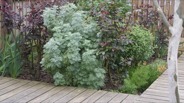 Сад в стиле Shabby Chic