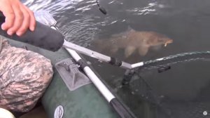 Поставушки на сазана, Часть 2