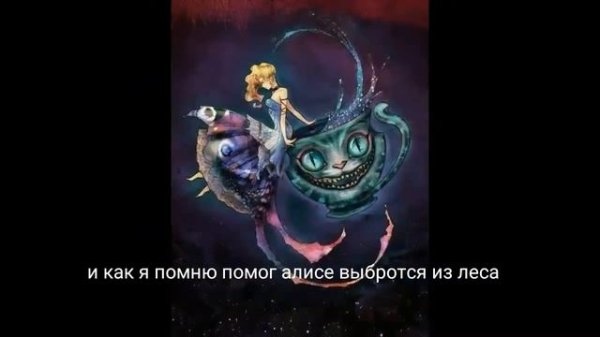 Безумный кот