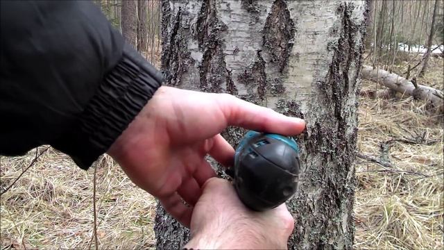 Как собирать берёзовый сок смотреть онлайн