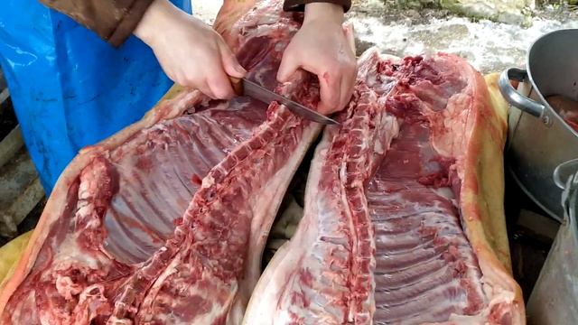 Строительные Прогнозы