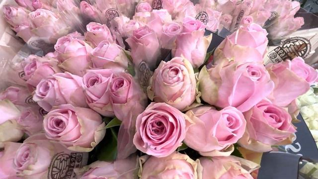 Мы должны ежедневно ходить пешком . Выбираем интересный маршрут. Ходьба 7км и розы. смотреть онлайн