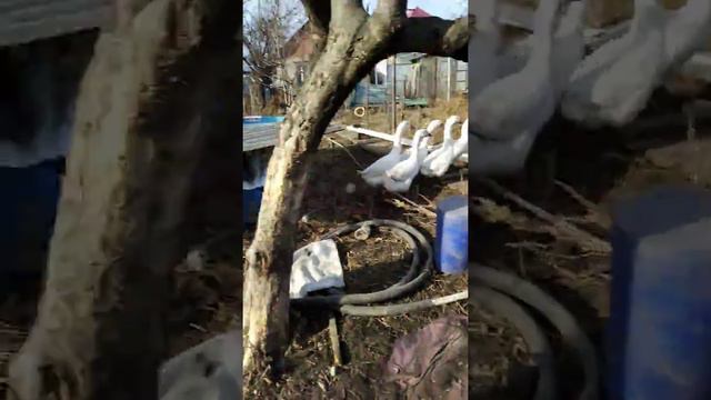 Это мой самый лучший день в спец жизни смотреть онлайн