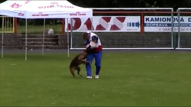 CACIT 2013 Dobris смотреть онлайн