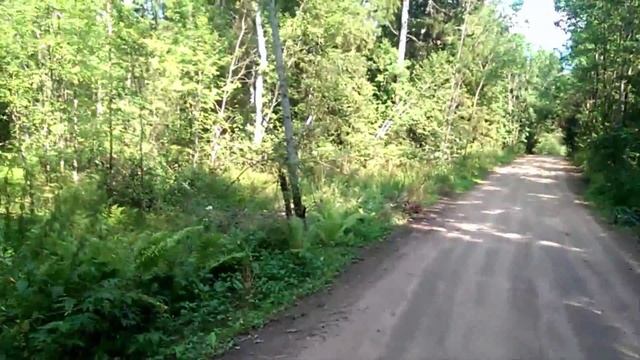 VLOG: Лес, Озеро, Жаба смотреть онлайн