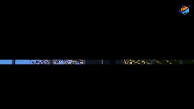 Egyptian Rule and Ottoman Revival | A Historical Journey through Nablus смотреть онлайн